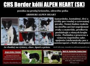 alepen heart